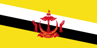 Brunei eSIM